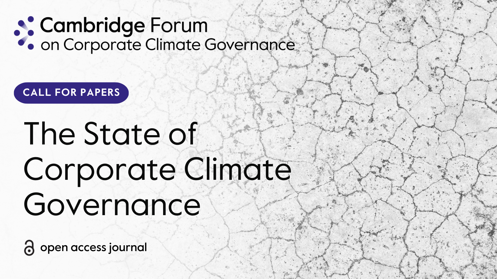 Call for Papers on The State of Corporate Climate Governance Around the World