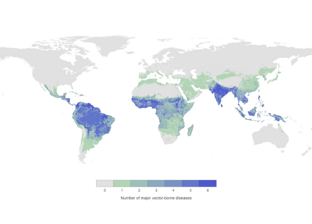 Vector-Borne Diseases China Core640