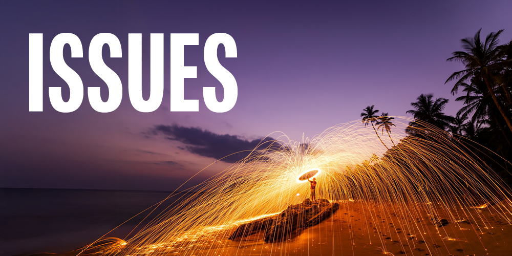 Public Humanities Issues