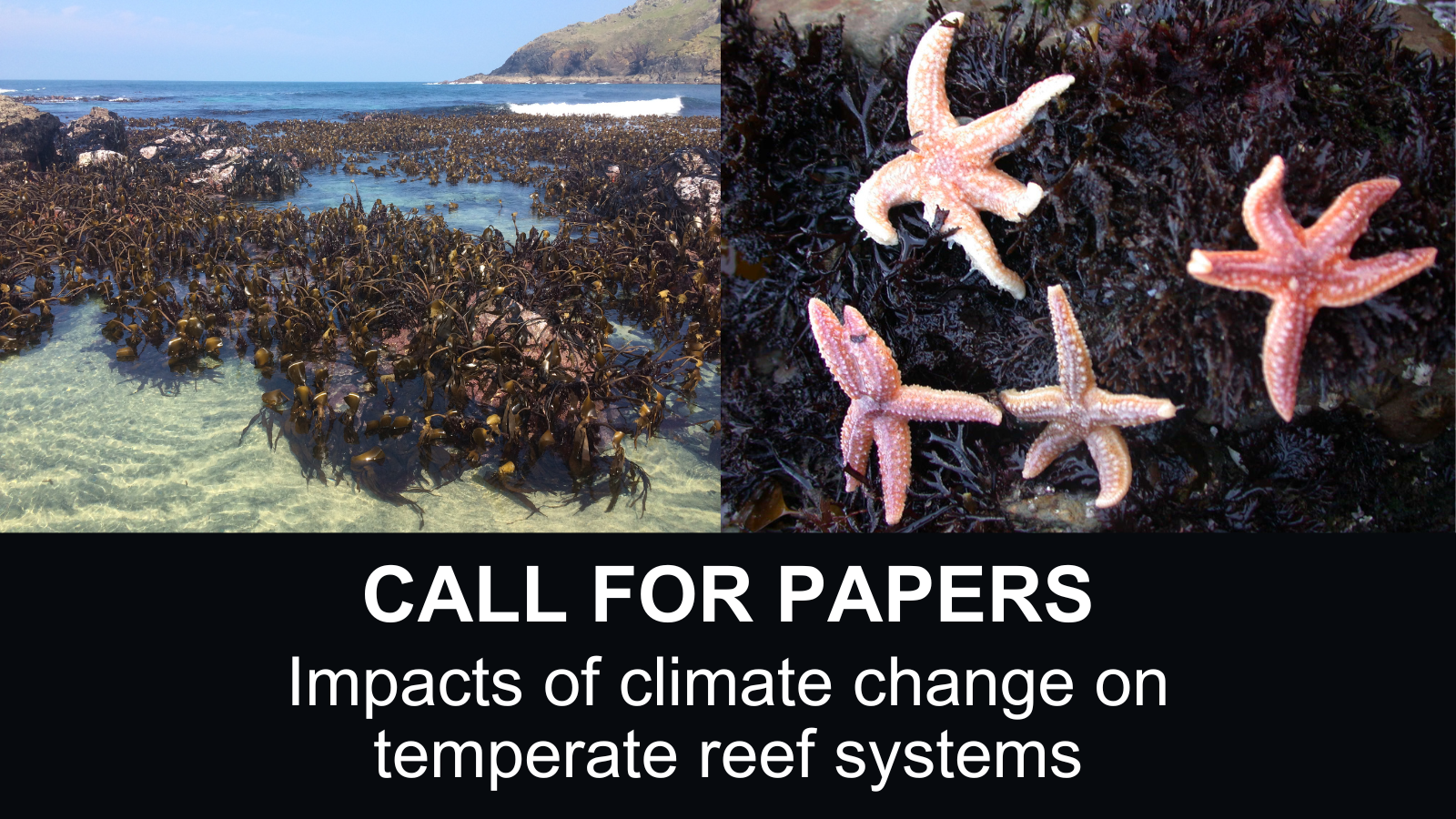 MBI Temperate Reefs CFPs 2025