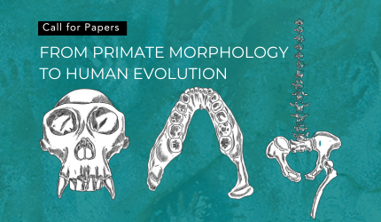 EHS Primate Morphology