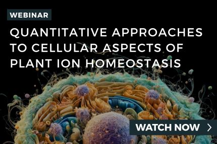 Plant Ion Homeostasis Webinar
