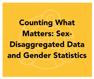 Counting What Matters: Sex-Disaggregated Data and Gender Statistics