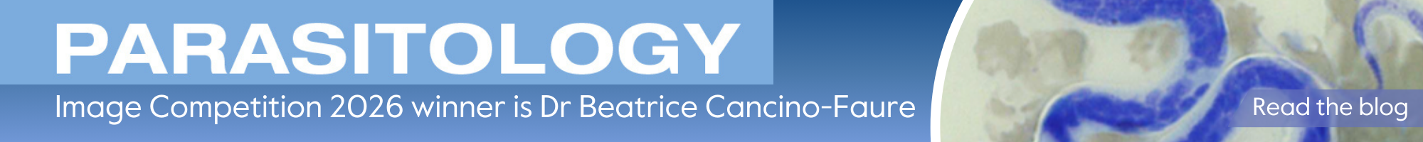 PAR front cover banner 2026 Winner