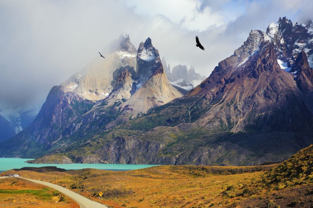 Important Bird Areas and Protected Areas