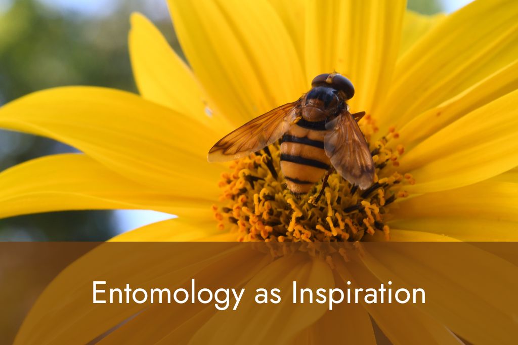 Entomology as Inspiration