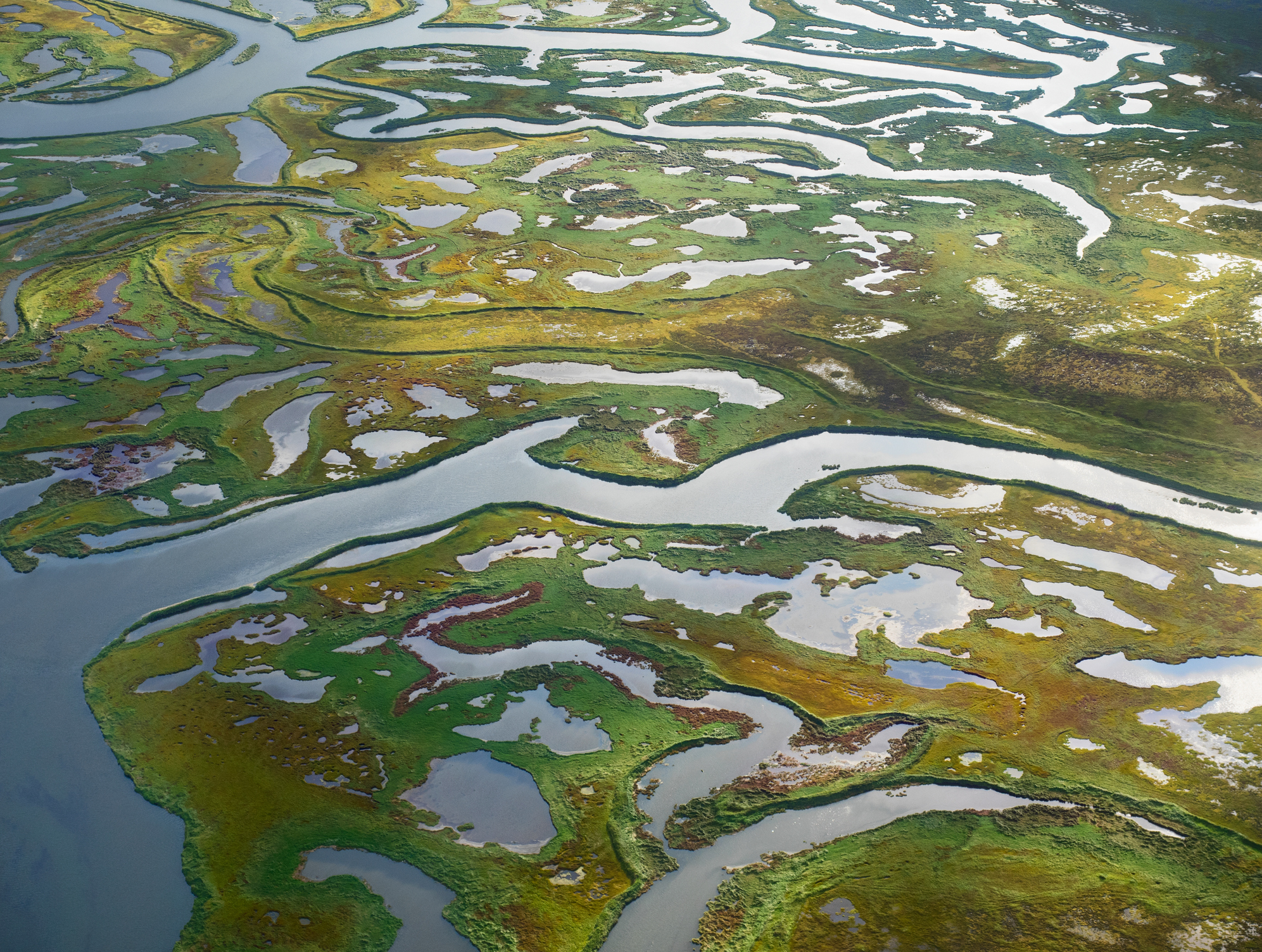 Fostering Water Resilience in the Anthropocene