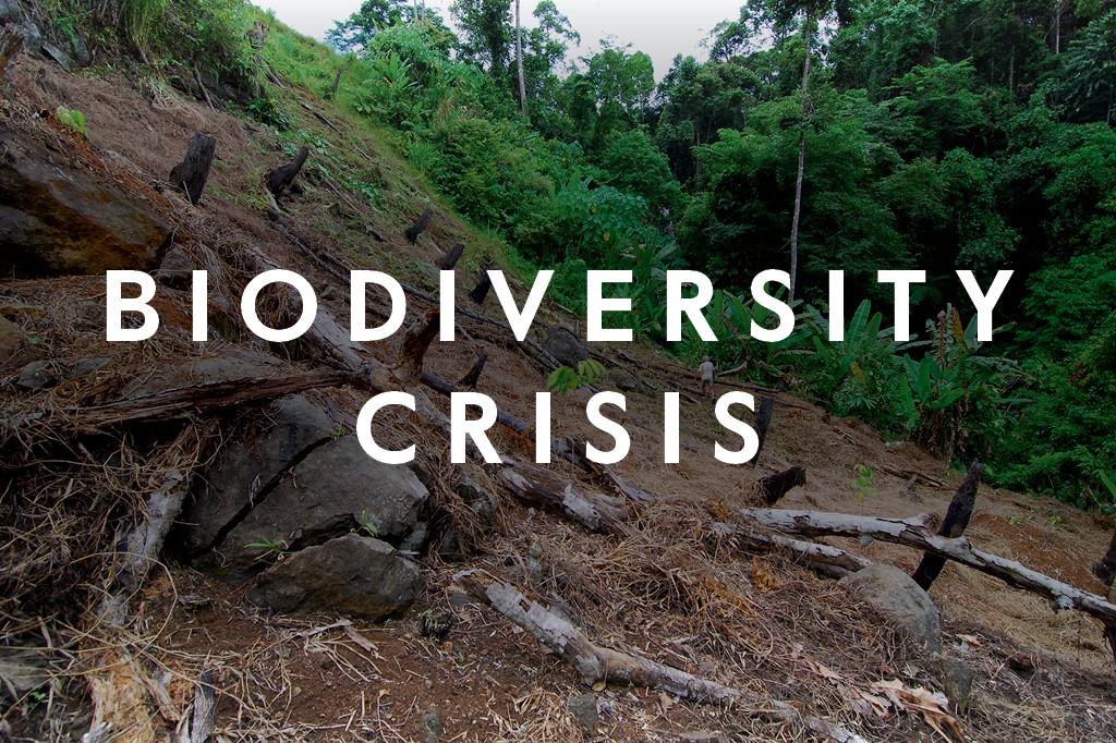 Multi-dimensionality of the biodiversity crisis