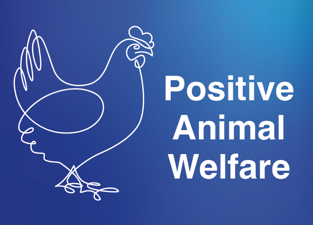 Positive Animal Welfare