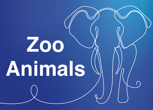Zoo Animals