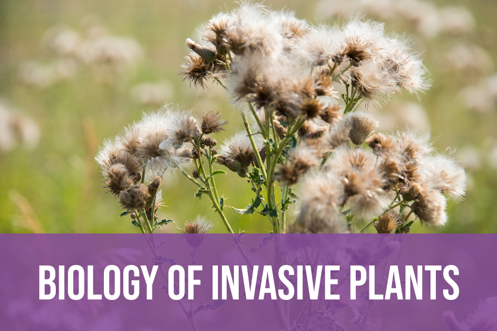 Biology of Invasive Plants